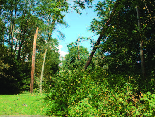 Remnants of wood structure show damage after the fall storm