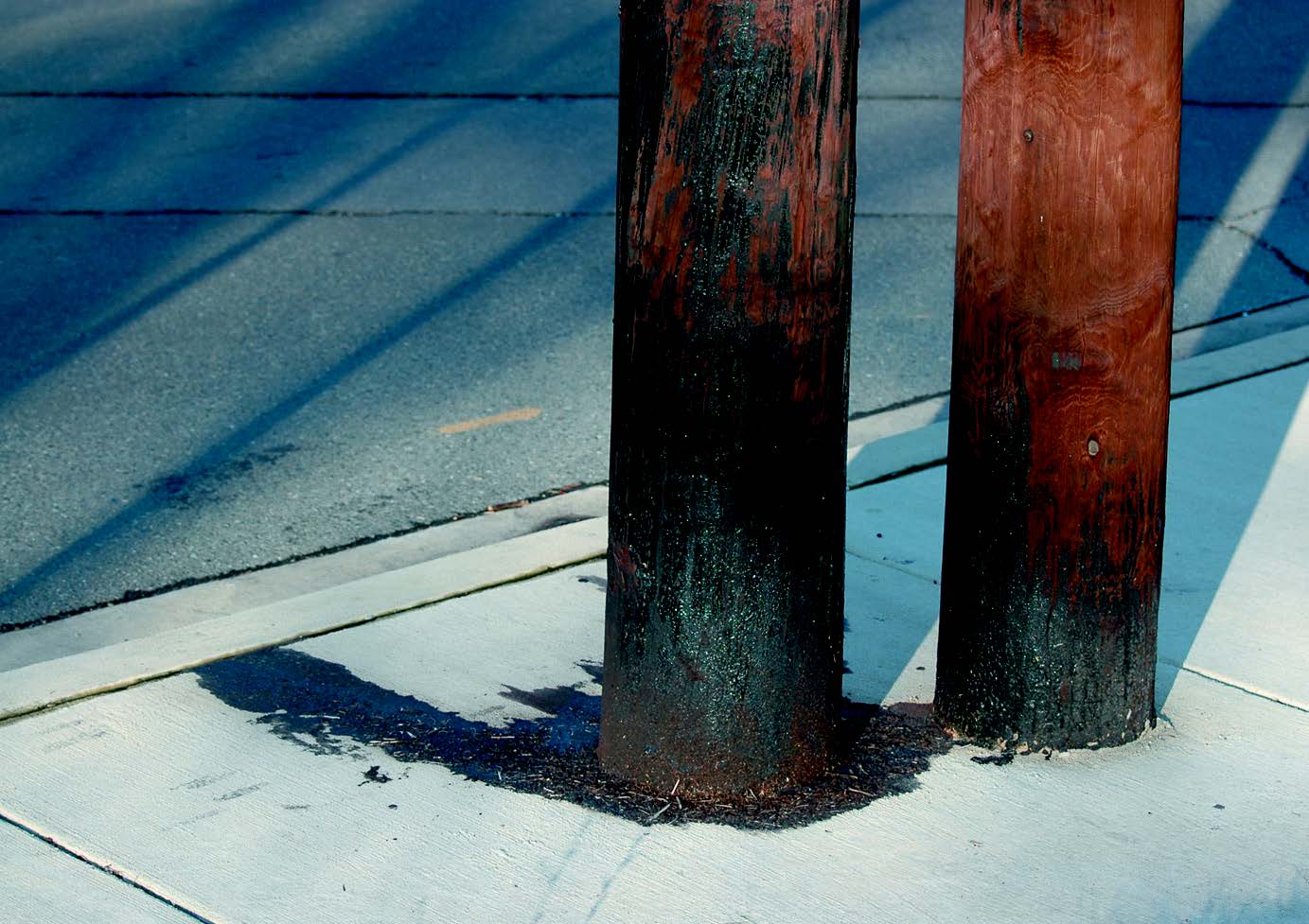 Visible chemical leaching is visible on two treated wood poles