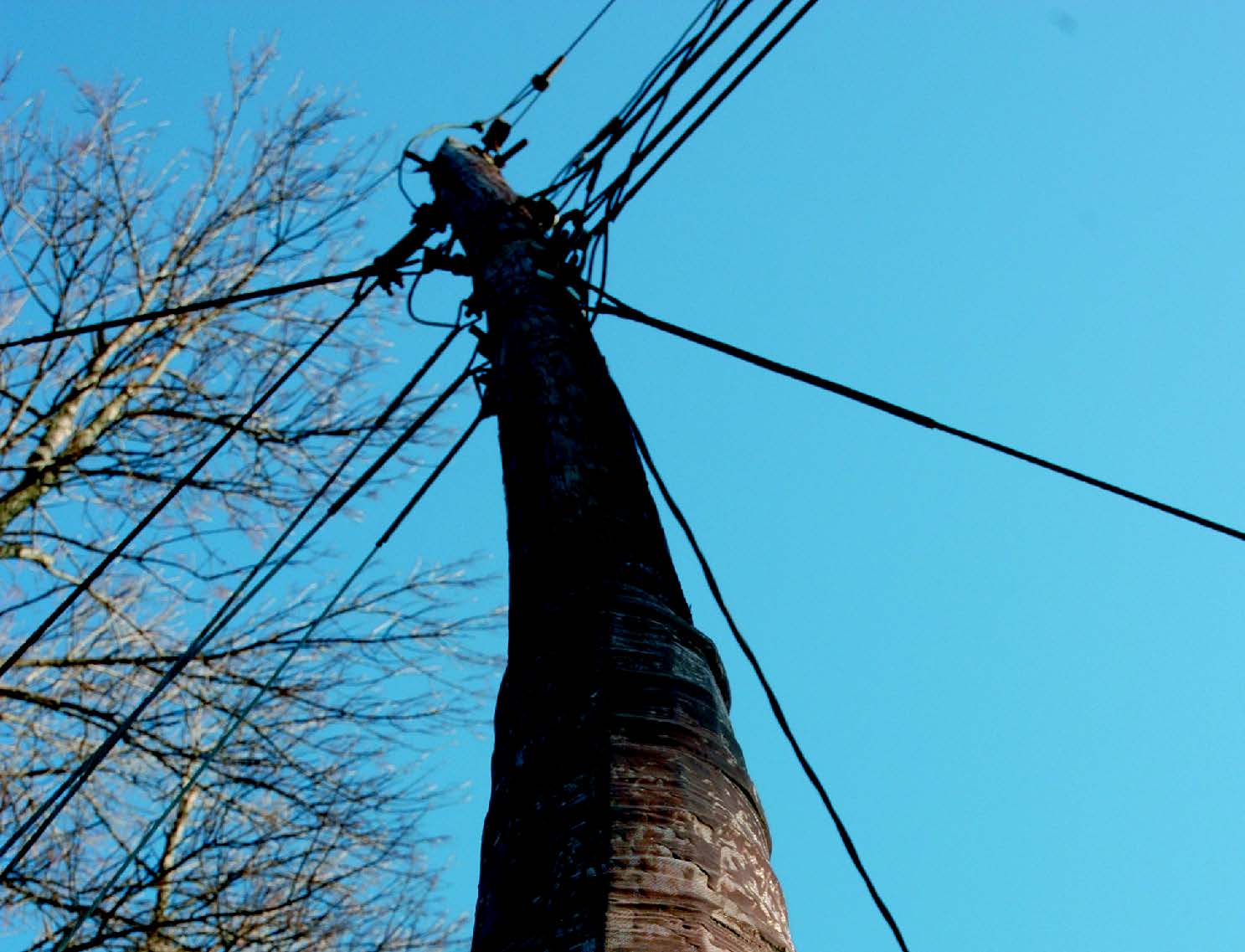 An in-service wood utility pole showing visible signs of compromised integrity