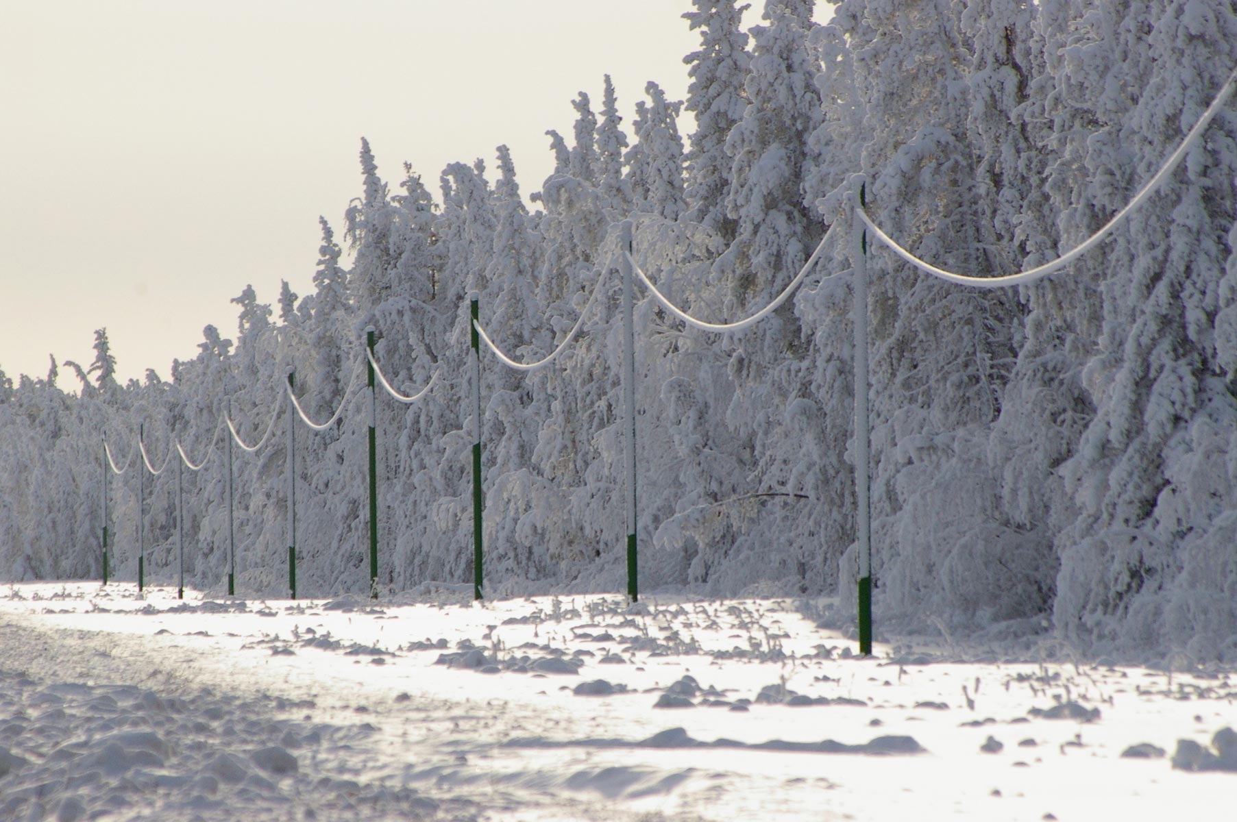 RS composite poles installed for NorthwesTel initiative