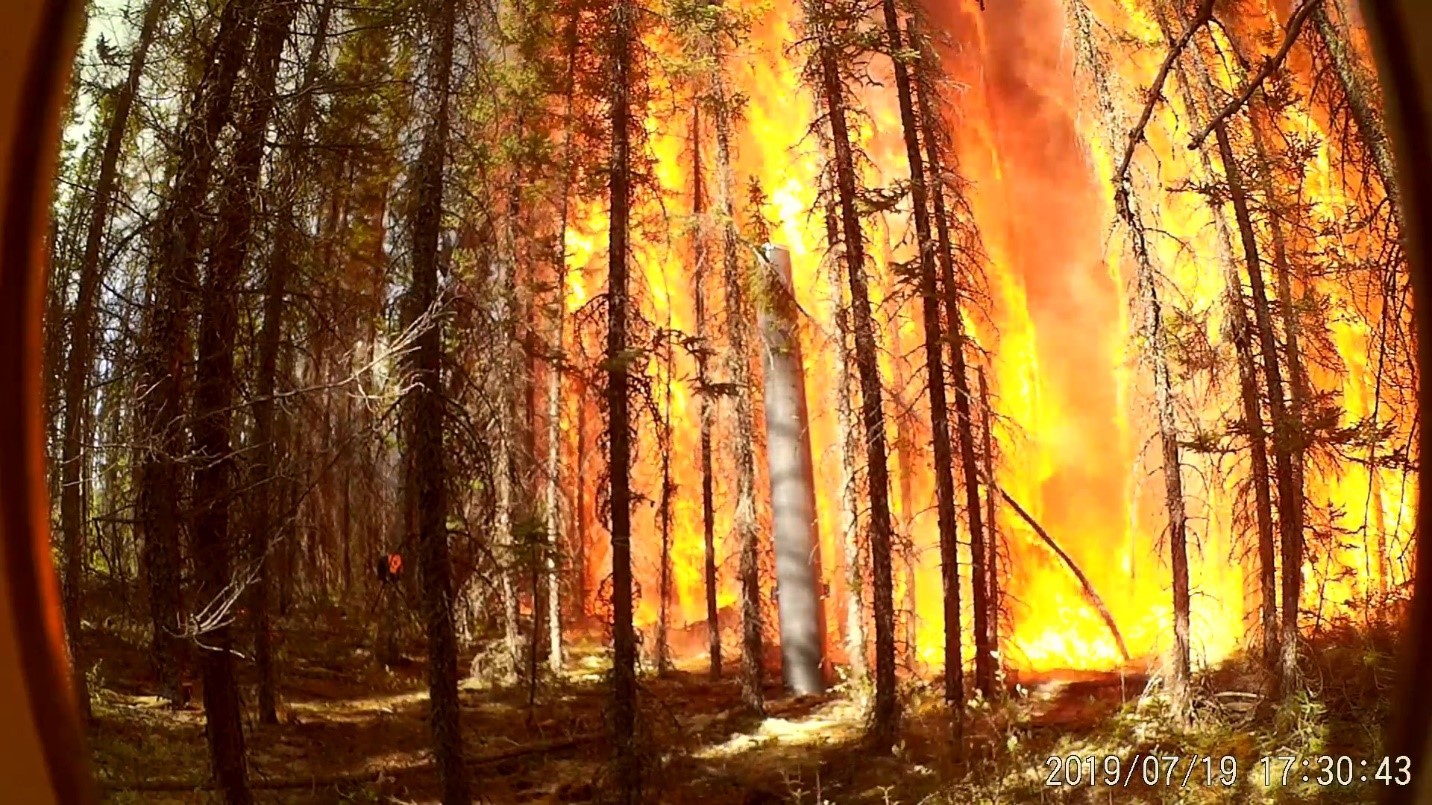 Forest fire approaching an RS pole