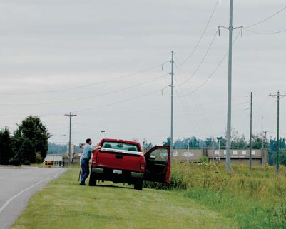 Composite poles installed in a distribution line along the roadside