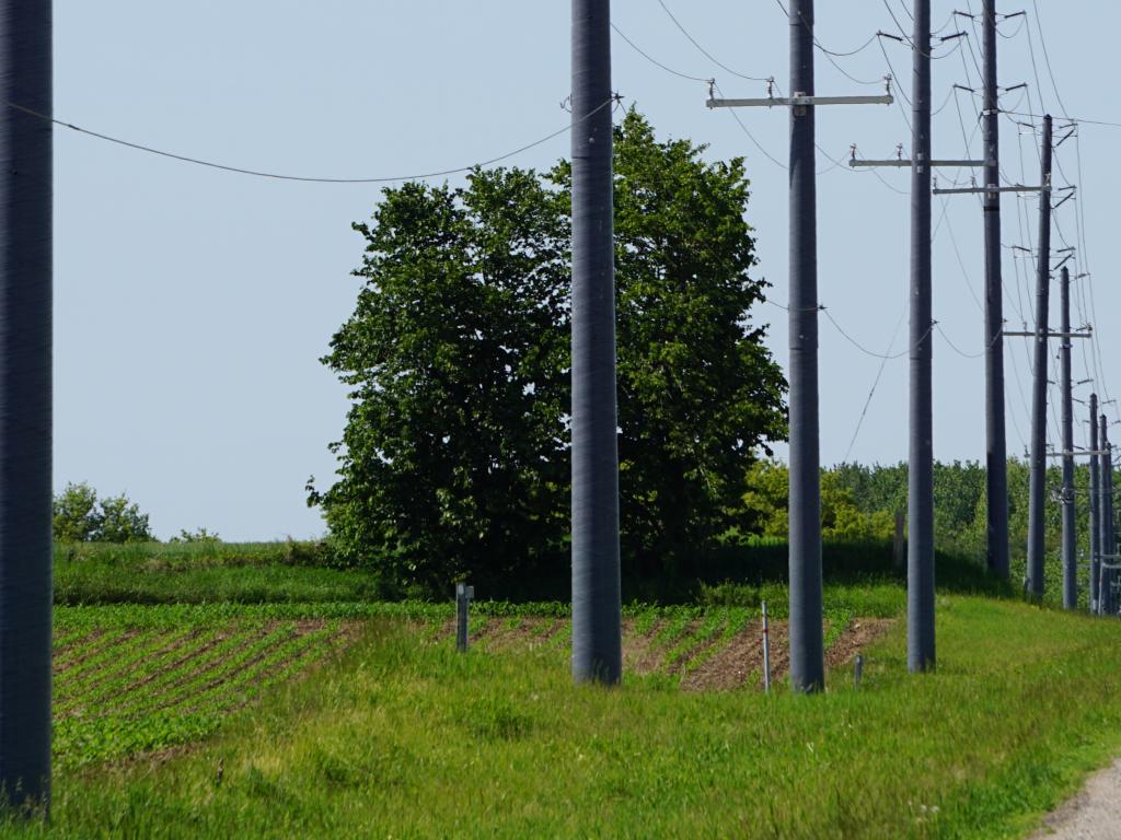 RS composite utility poles installed and standing tall